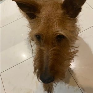 Meet your Posher, Abby